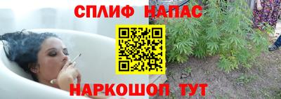 амф Новозыбков