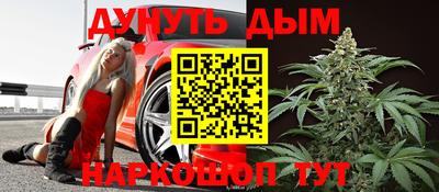 амф Новозыбков