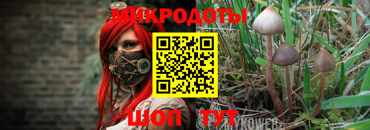 Псилоцибиновые грибы MAGIC MUSHROOMS Сатка