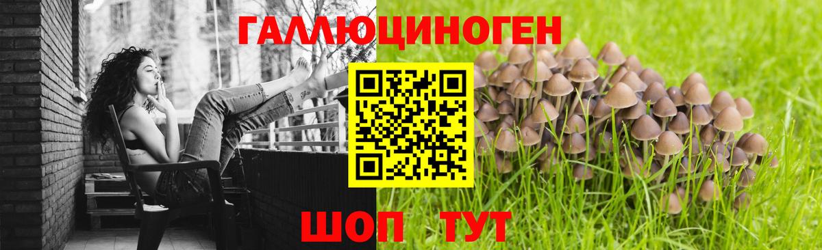 Псилоцибиновые грибы мухоморы  Псилоцибиновые грибы MAGIC MUSHROOMS  Сатка  Вход с VPN 